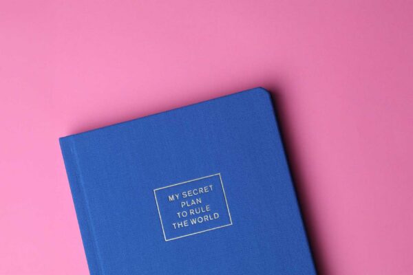Charting Success: Why Every Entrepreneur Needs a Business Plan