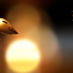 Unlock the Power of Digital Transformation with 360network