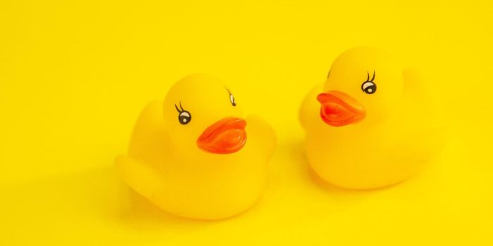 The Yellow Duck Approach