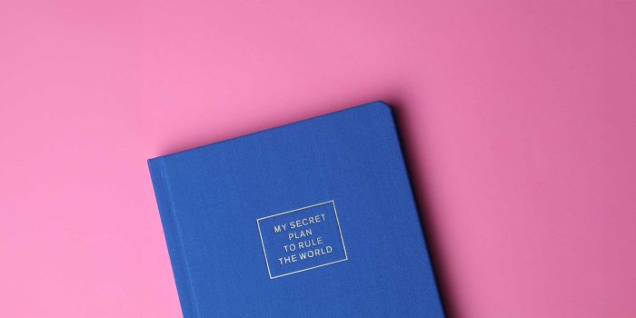 Charting Success: Why Every Entrepreneur Needs a Business Plan